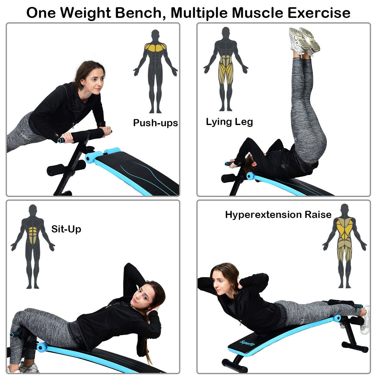 Adjustable Folding Weight Bench, Sit-Up Board, Blue Benches Racks & Bars at Gallery Canada