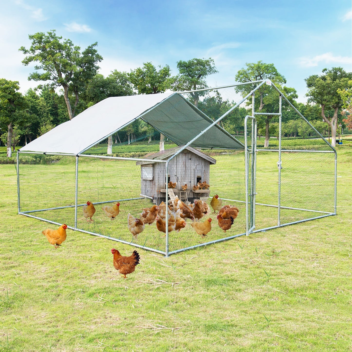13 x 13 Feet Walk-In Chicken Coop, Waterproof Cover, White