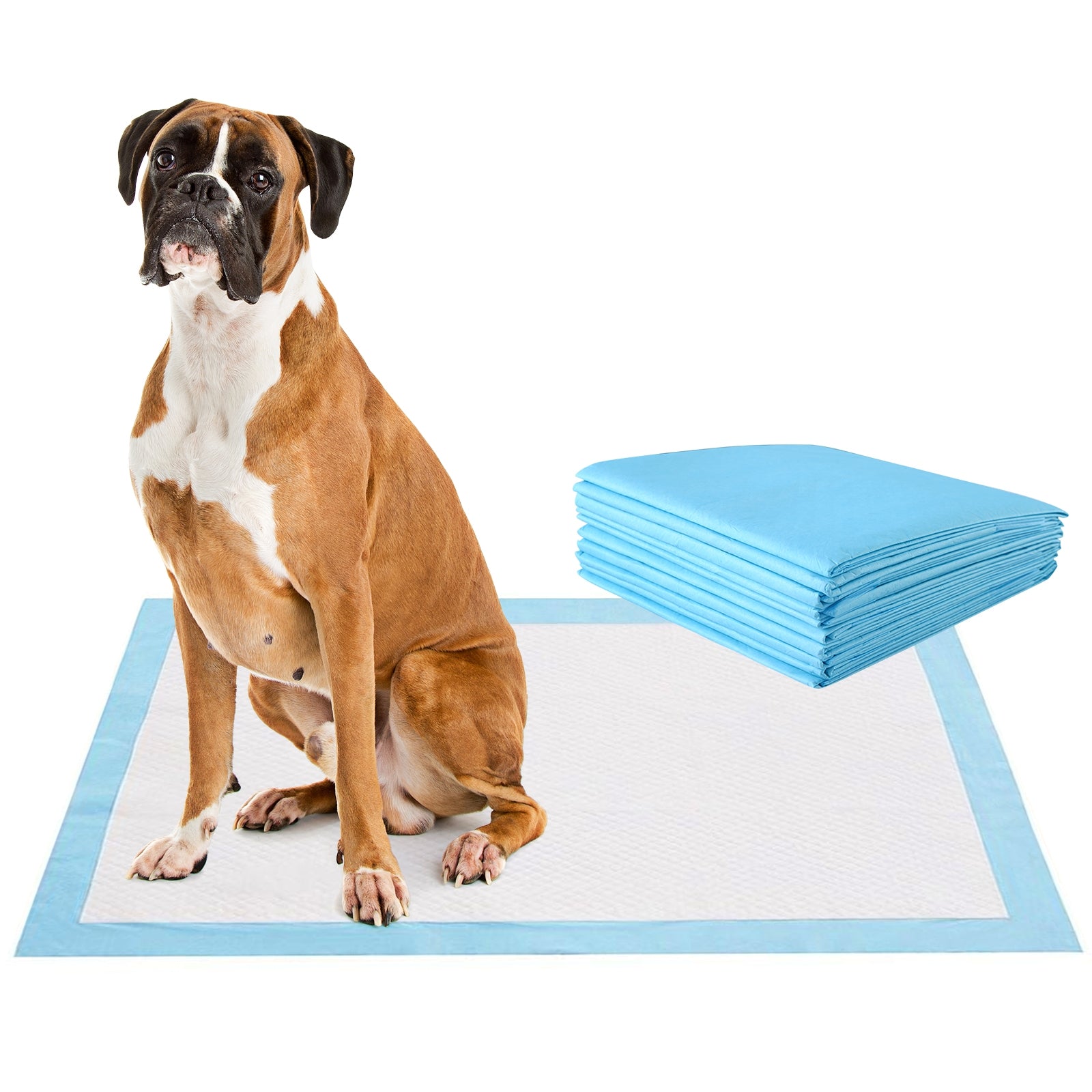 100 pieces 30 x 36 inch Pet Wee Pee Piddle Pad , Light Blue Dog Supplies Light Blue at Gallery Canada