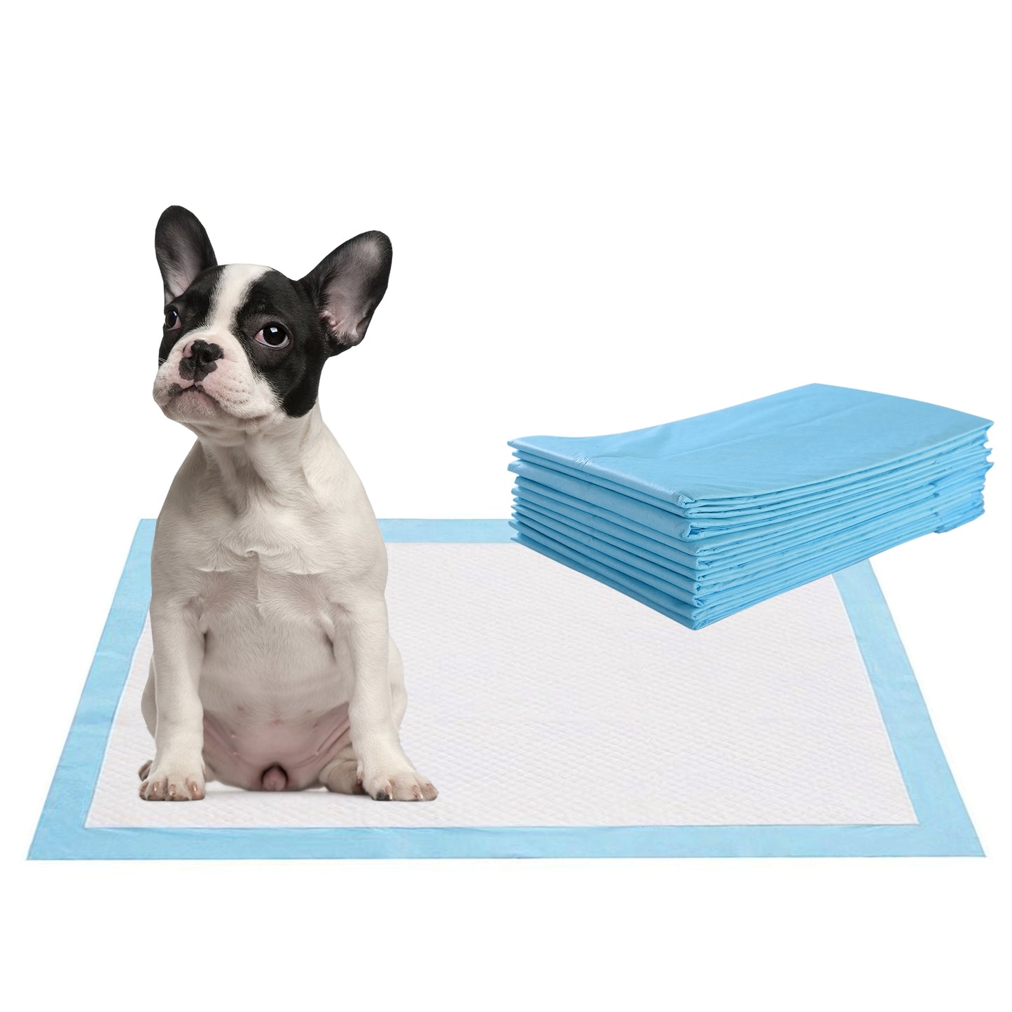200 Pet Pee Pads, 24 x 24 Inch, Light Blue Dog Supplies at Gallery Canada