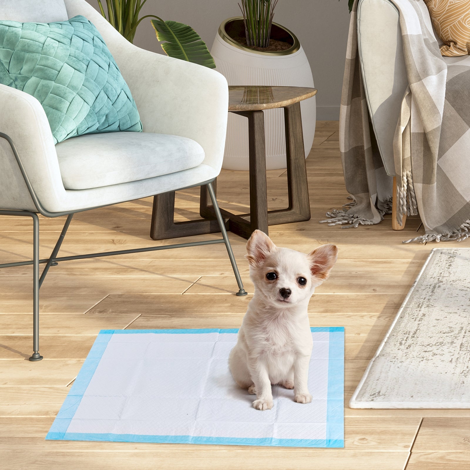 300 Pieces 17 x 24 Inch Pet Wee Pee Piddle Pad, Light Blue Dog Supplies at Gallery Canada