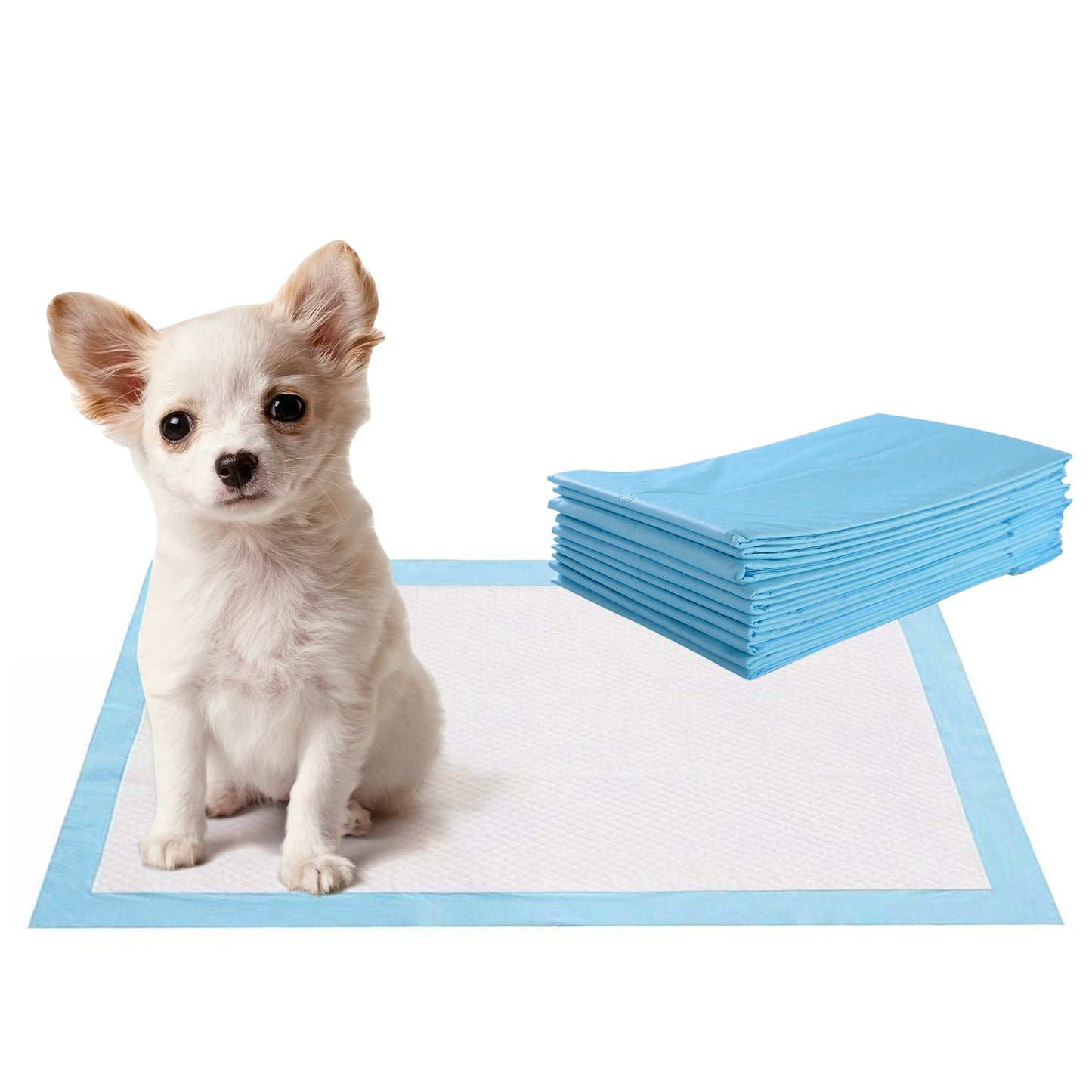 300 Pieces 17 x 24 Inch Pet Wee Pee Piddle Pad, Light Blue Dog Supplies at Gallery Canada