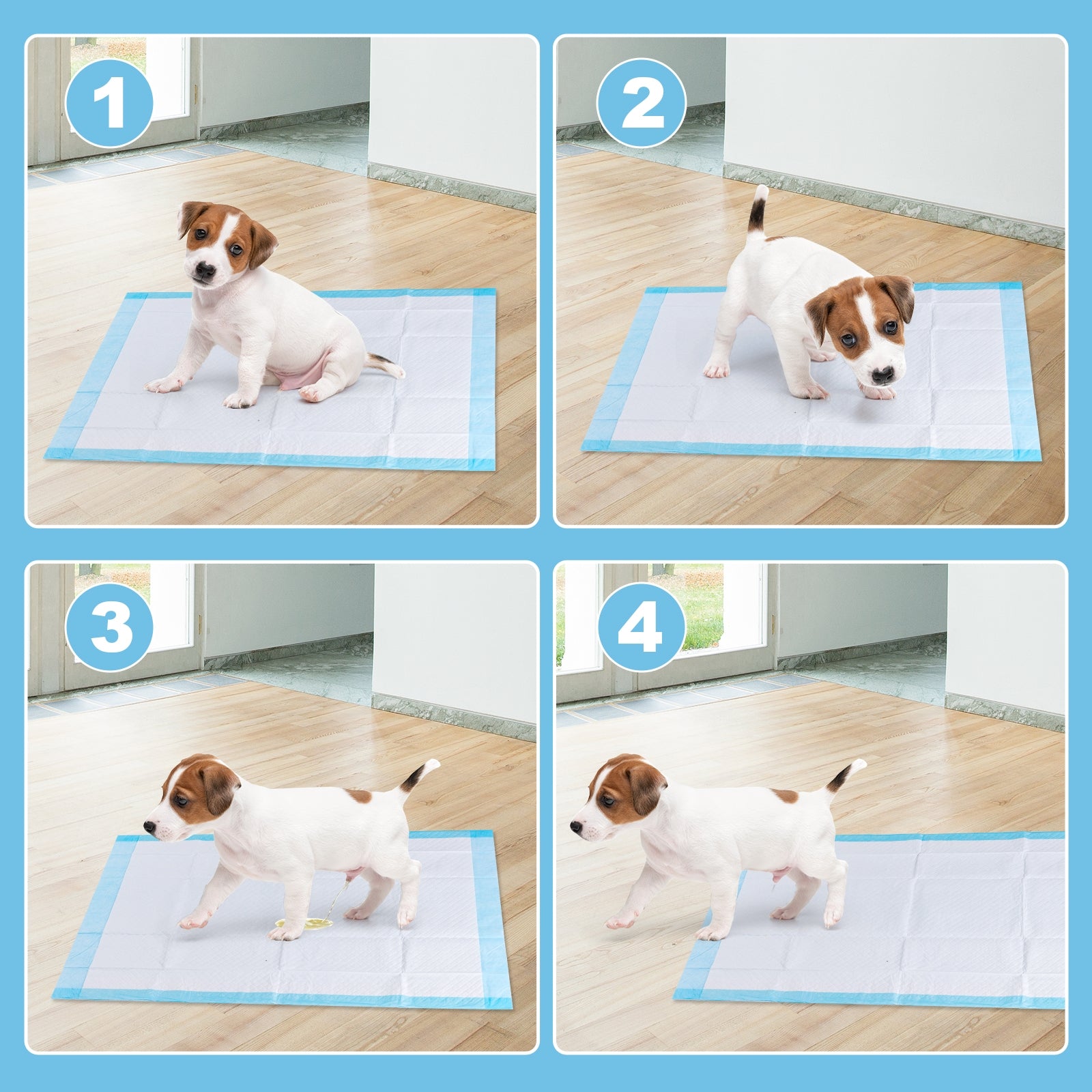 300 Pieces 17 x 24 Inch Pet Wee Pee Piddle Pad, Light Blue Dog Supplies at Gallery Canada