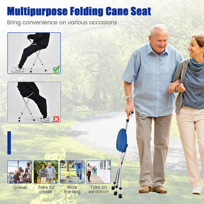 Lightweight Adjustable Folding Cane Seat with Light, Silver Walkers & Rollators at Gallery Canada