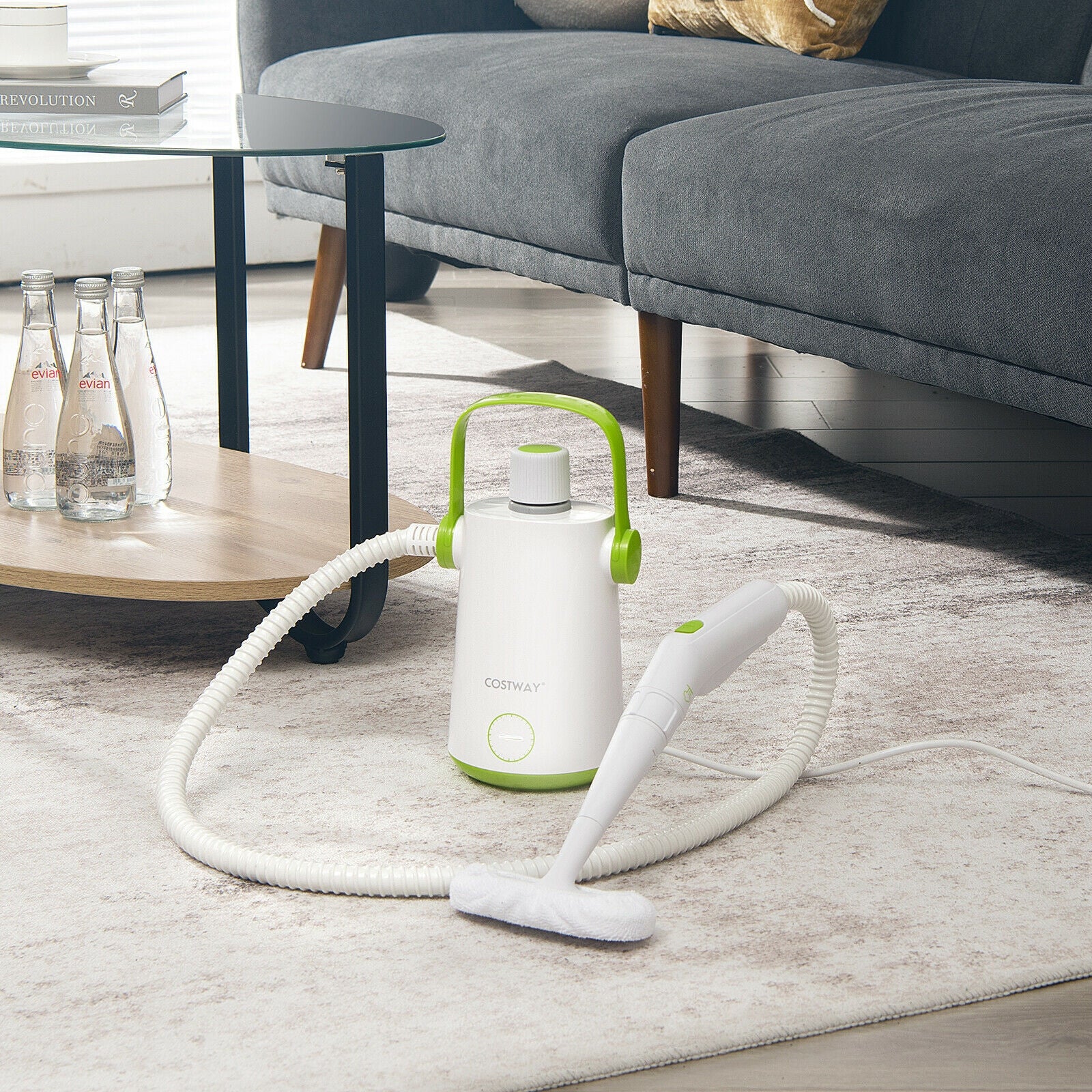 1000W Multifunction Portable Hand-held Steam Cleaner with 10 Accessories, Green Vacuums & Cleaners at Gallery Canada