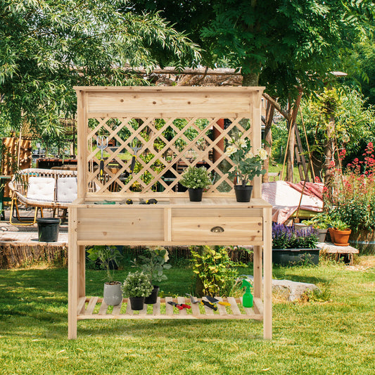 Wood Raised Garden Bed with Trellis, Natural - Gallery Canada