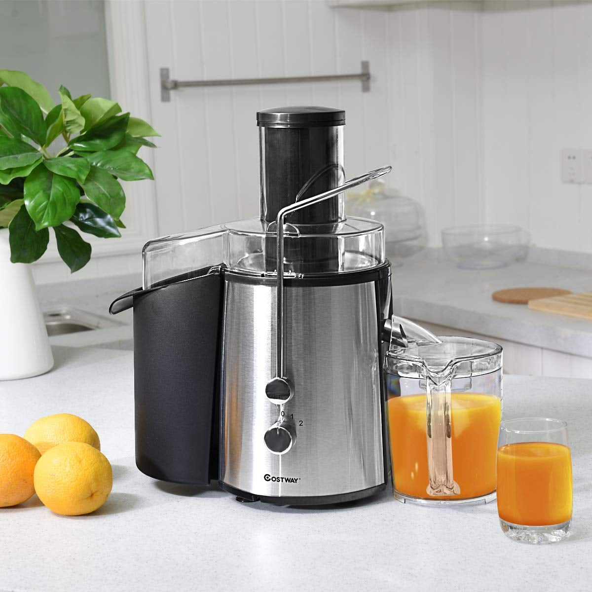 2 Speed Electric Juice Press for Fruit and Vegetable, Silver Juicers & Coffee Machines at Gallery Canada