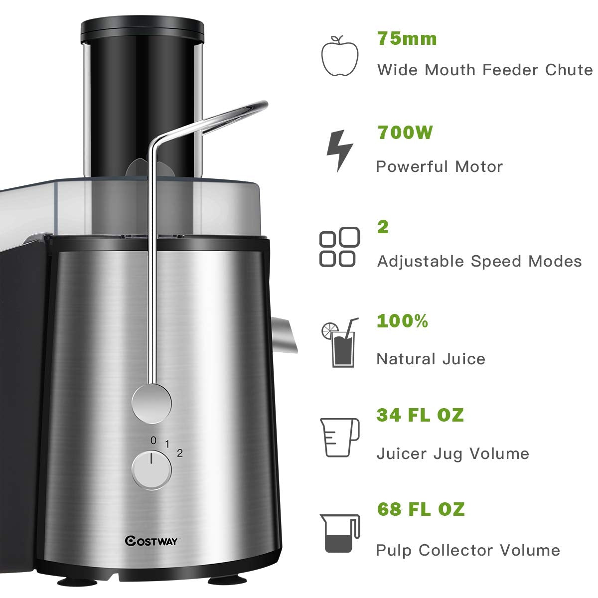 2 Speed Electric Juice Press for Fruit and Vegetable, Silver Juicers & Coffee Machines at Gallery Canada