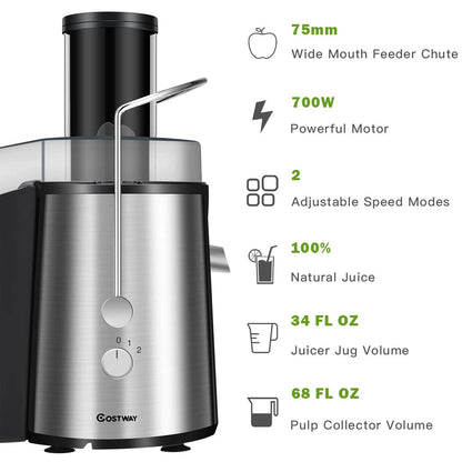 2 Speed Electric Juice Press for Fruit and Vegetable, Silver Juicers & Coffee Machines at Gallery Canada