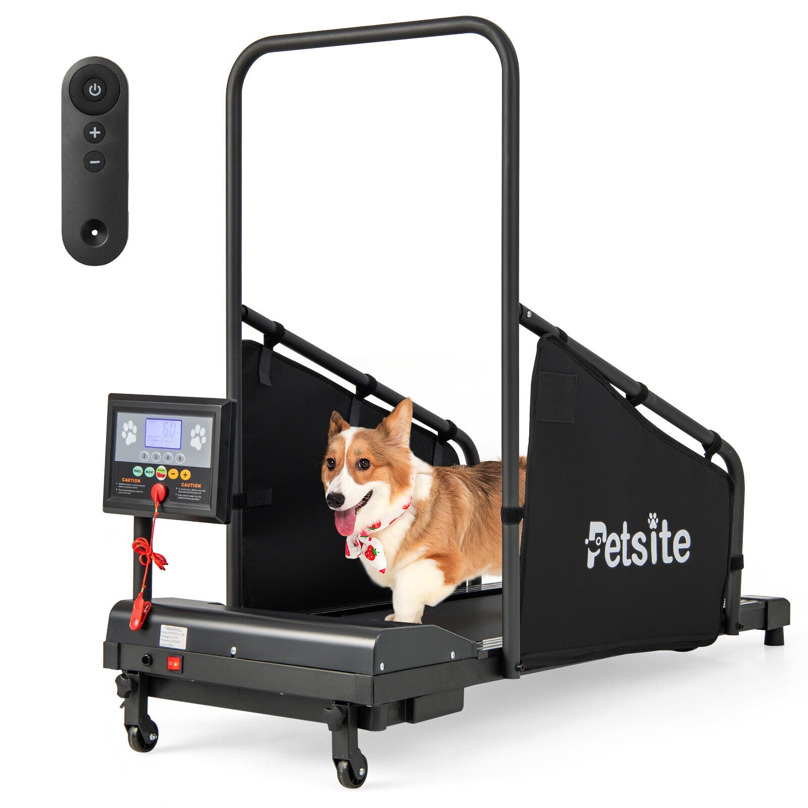 Pet Exercise Equipment with Remote Control, Black Dog Supplies at Gallery Canada