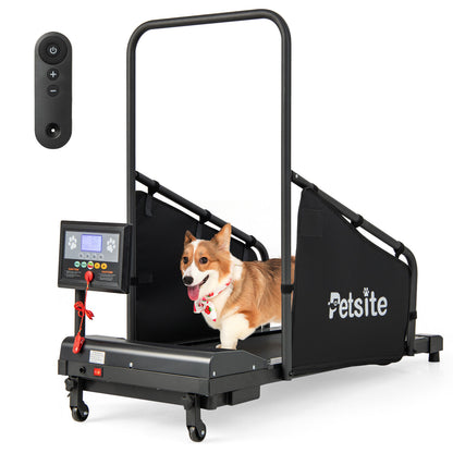 Pet Exercise Equipment with Remote Control, Black Dog Supplies at Gallery Canada