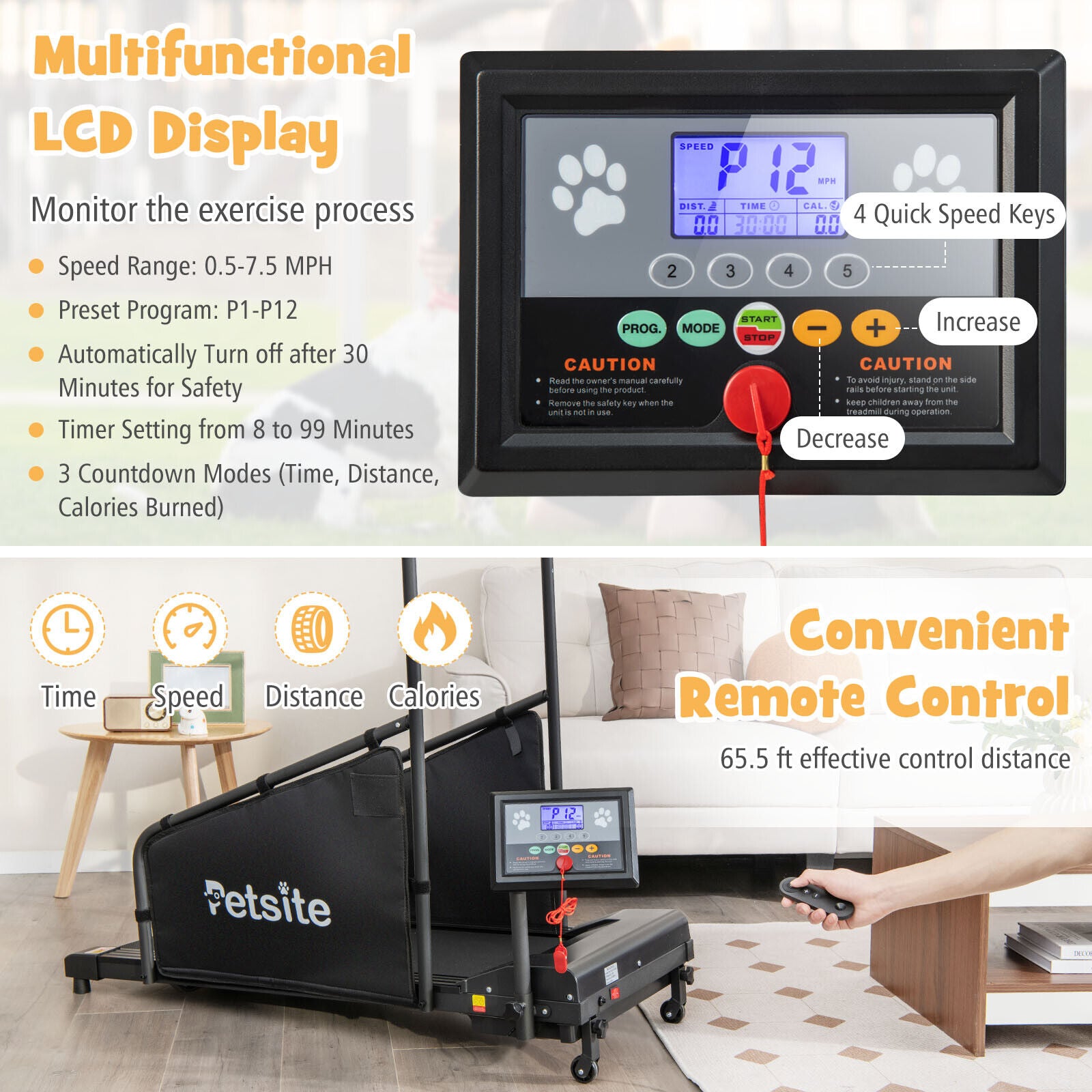 Pet Exercise Equipment with Remote Control, Black Dog Supplies at Gallery Canada