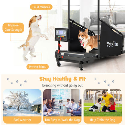 Pet Exercise Equipment with Remote Control, Black Dog Supplies at Gallery Canada