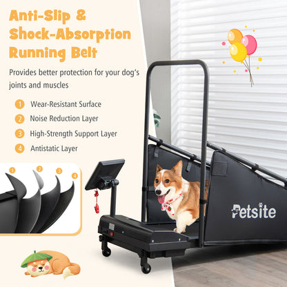 Pet Exercise Equipment with Remote Control, Black Dog Supplies at Gallery Canada