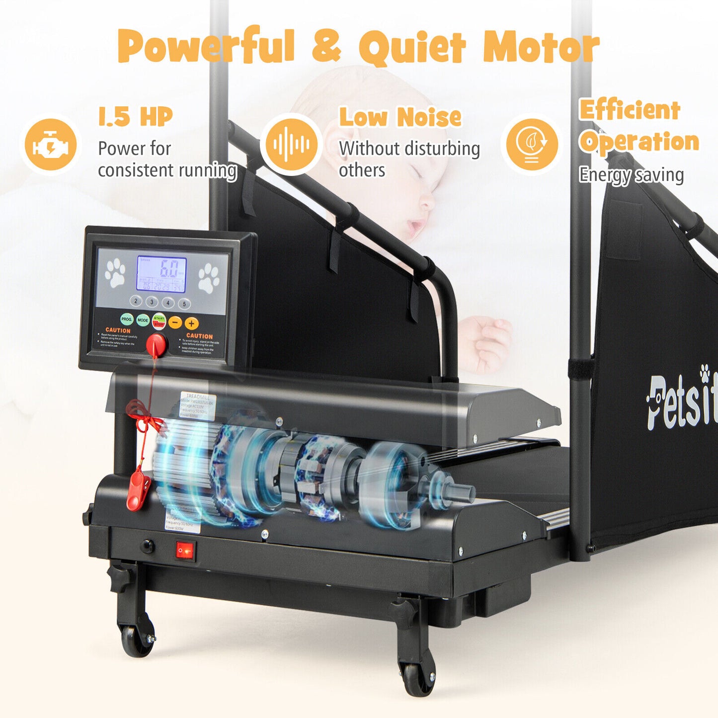 Pet Exercise Equipment with Remote Control, Black Dog Supplies at Gallery Canada