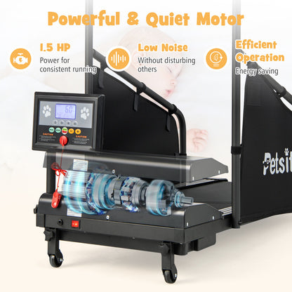 Pet Exercise Equipment with Remote Control, Black Dog Supplies at Gallery Canada