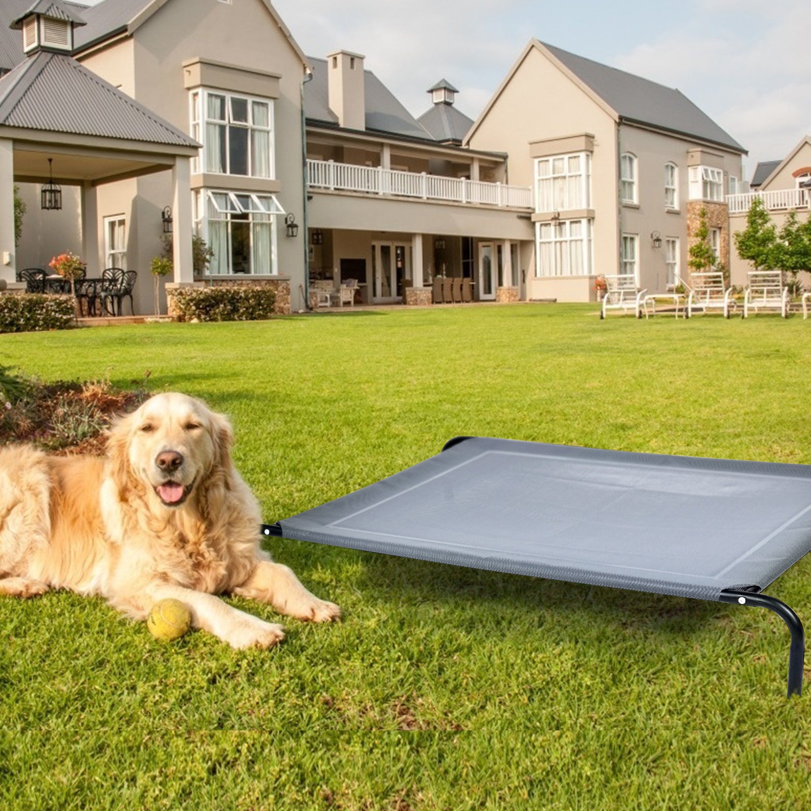 Large Pet Bed Indoor Outdoor Camping Steel Frame Elevated Pet Cot Mat, Black Dog Beds at Gallery Canada