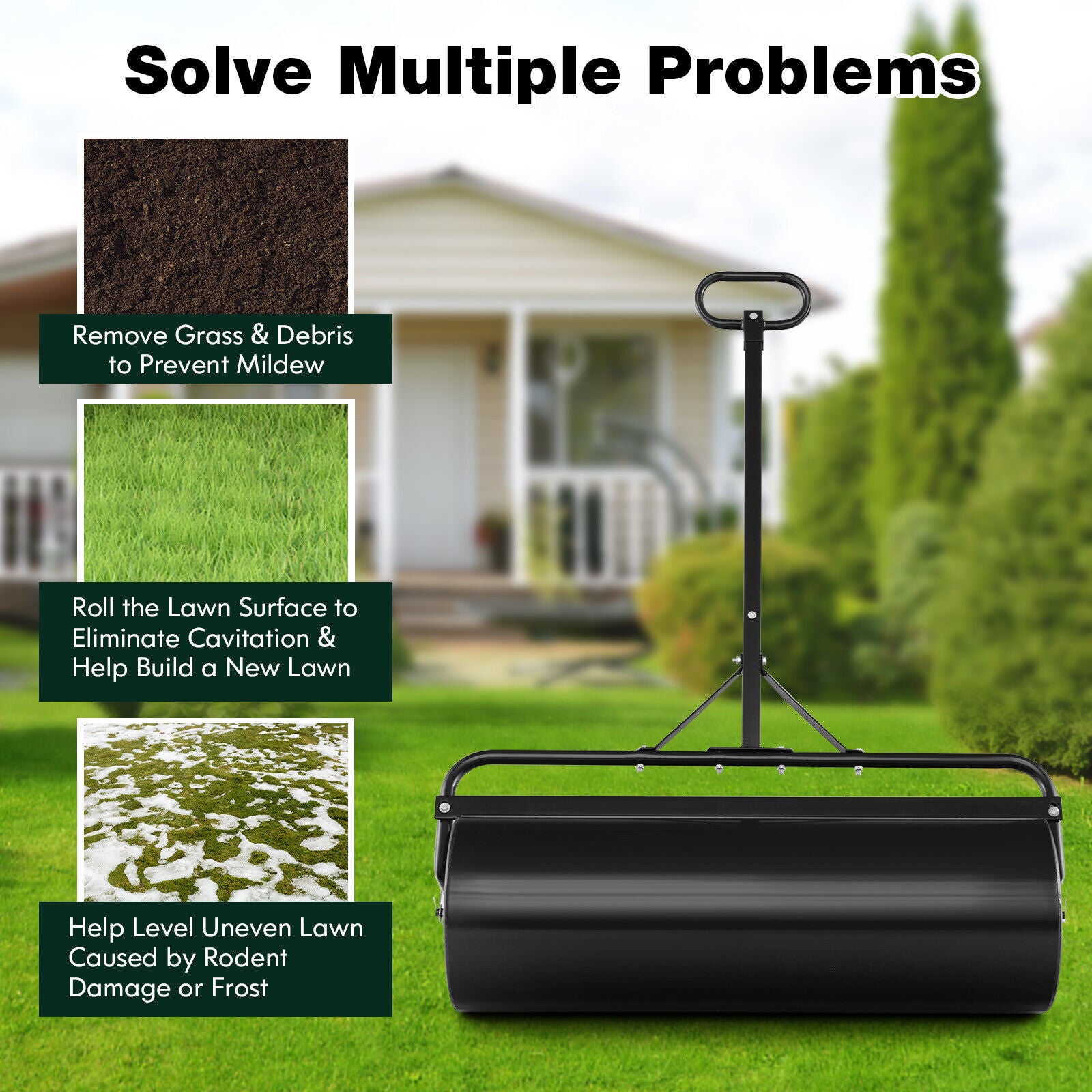 Metal Lawn Roller, Detachable Gripping Handle, Black Lawn Care Tools at Gallery Canada