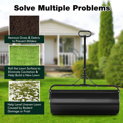 Metal Lawn Roller, Detachable Gripping Handle, Black Lawn Care Tools at Gallery Canada
