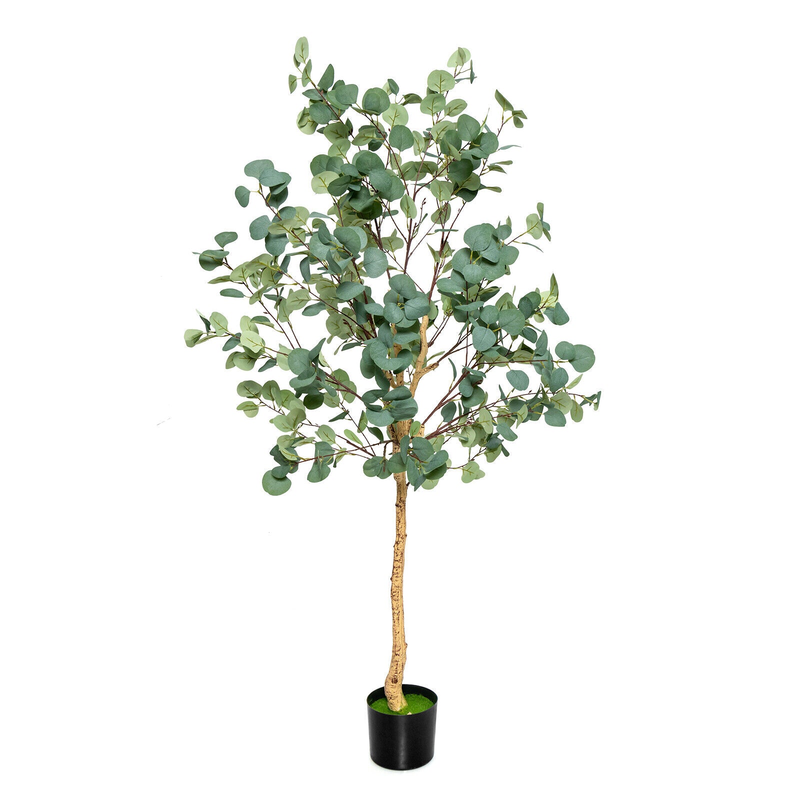 5.5 Feet Artificial Eucalyptus Tree with 517 Silver Dollar Leaves-1 Pack, Black & Green Faux Plants at Gallery Canada
