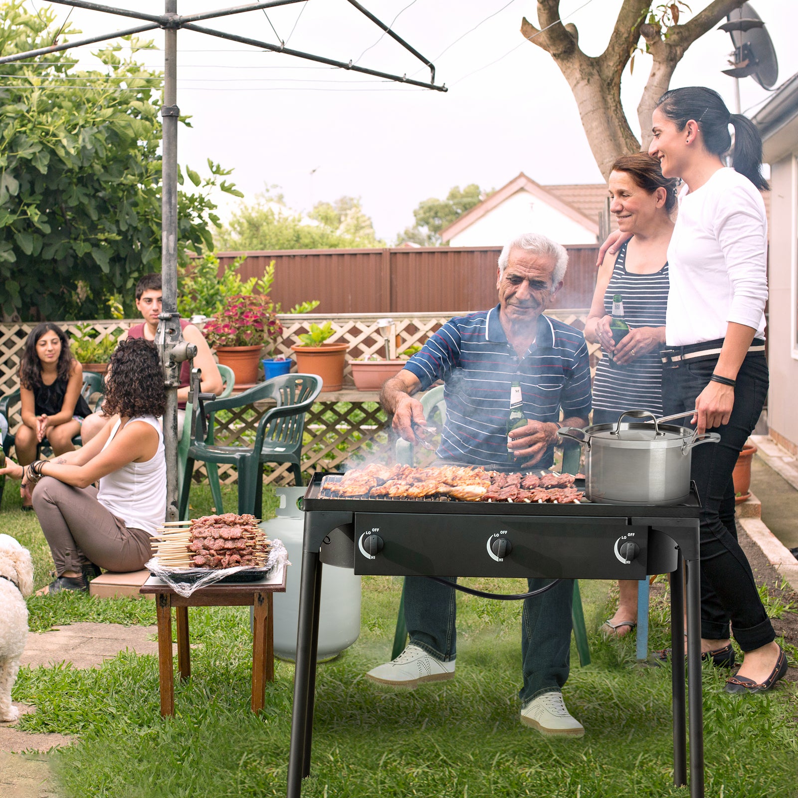 225000 BTU Portable Propane 3 Burner Gas Cooker, Black Outdoor Grills at Gallery Canada