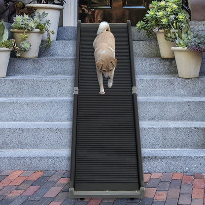 63 Feet Upgrade Folding Pet Ramp Portable Dog Ramp with Steel Frame, Black - Gallery Canada