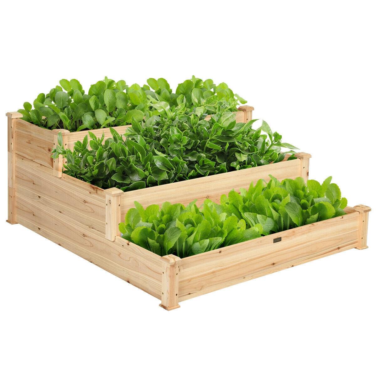 3 Tier Elevated Wooden Vegetable Garden Bed, Wood Raised Garden Beds at Gallery Canada