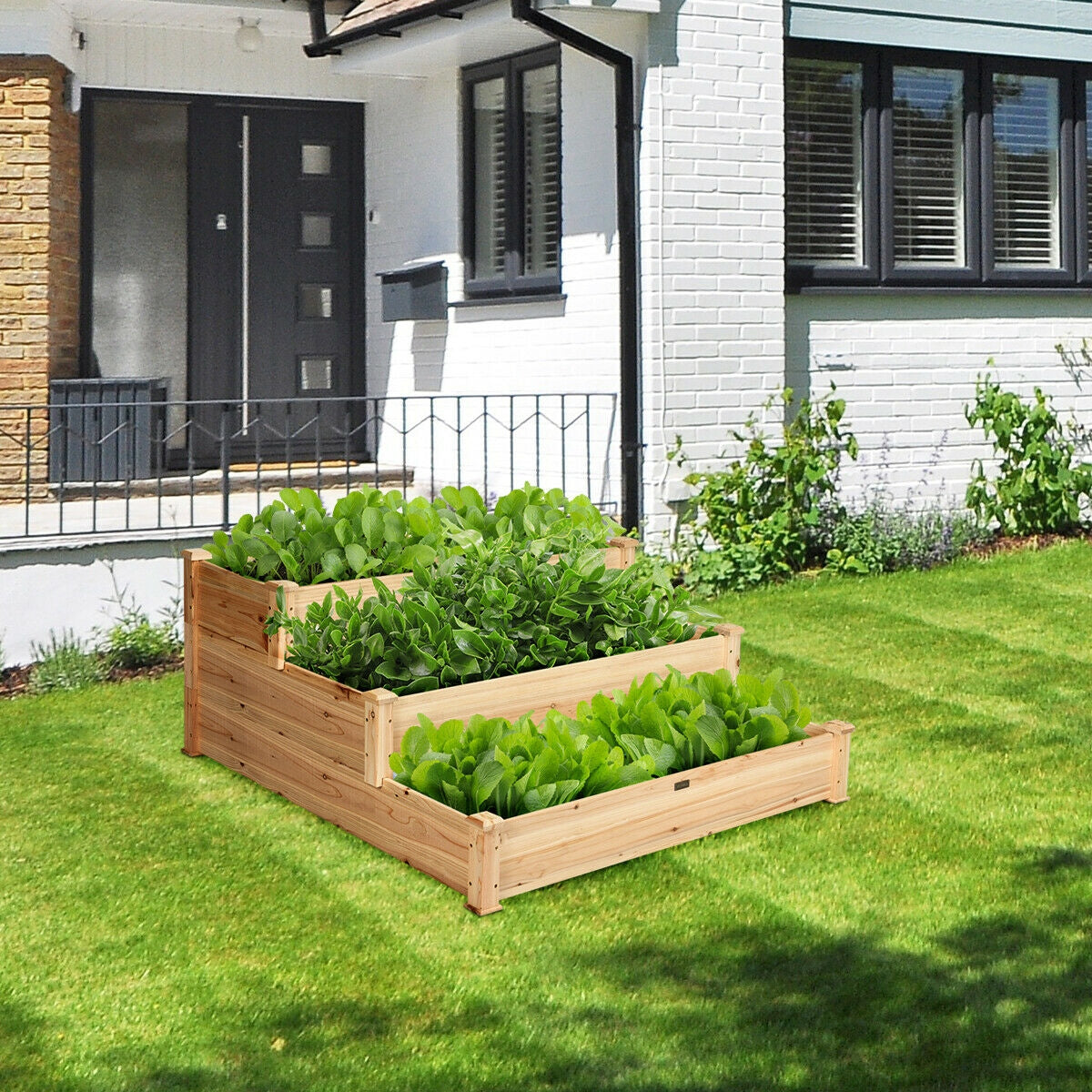 3 Tier Elevated Wooden Vegetable Garden Bed, Wood Raised Garden Beds at Gallery Canada
