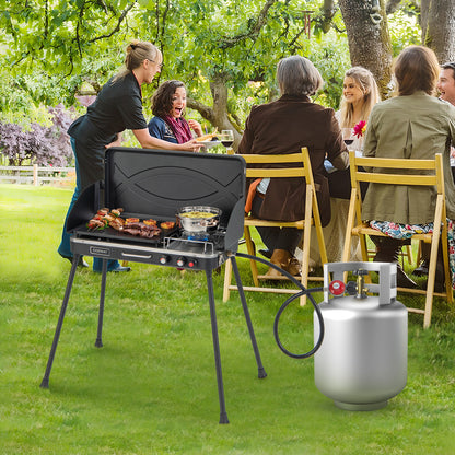 2-in-1 Gas Camping Grill and Stove with Detachable Legs, Black Outdoor Grills at Gallery Canada