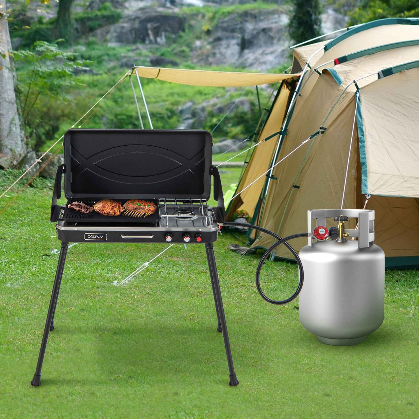2-in-1 Gas Camping Grill and Stove with Detachable Legs, Black Outdoor Grills at Gallery Canada