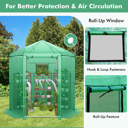 Walk-In Hexagonal Greenhouse with PE Cover and Metal Frame, Green