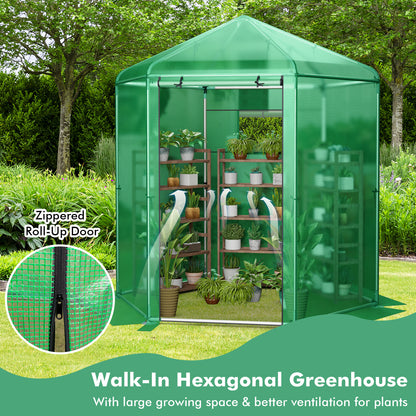 Walk-In Hexagonal Greenhouse with PE Cover and Metal Frame, Green Greenhouses at Gallery Canada
