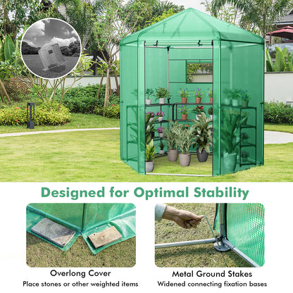 Walk-In Hexagonal Greenhouse with PE Cover and Metal Frame, Green Greenhouses at Gallery Canada