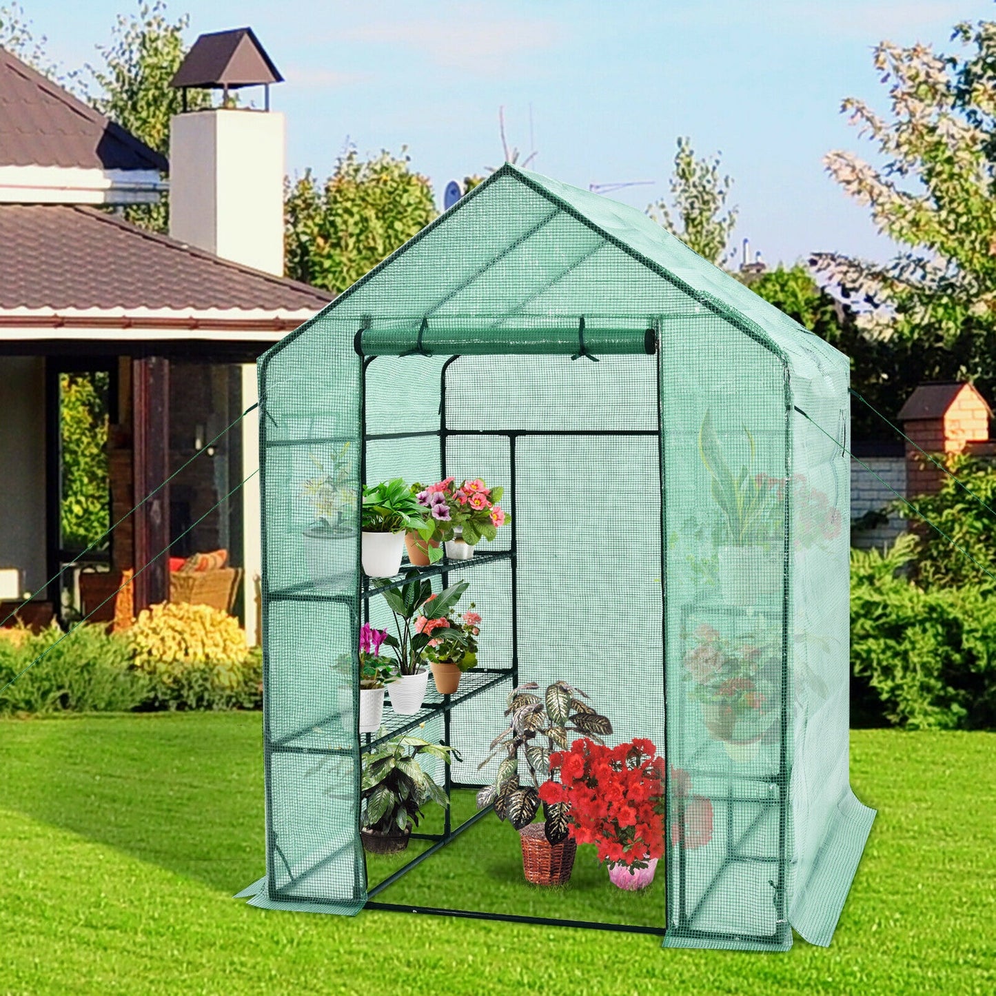 Walk-in Greenhouse 56 x 56 x 77 Inch Gardening with Observation Windows, Green Greenhouses at Gallery Canada