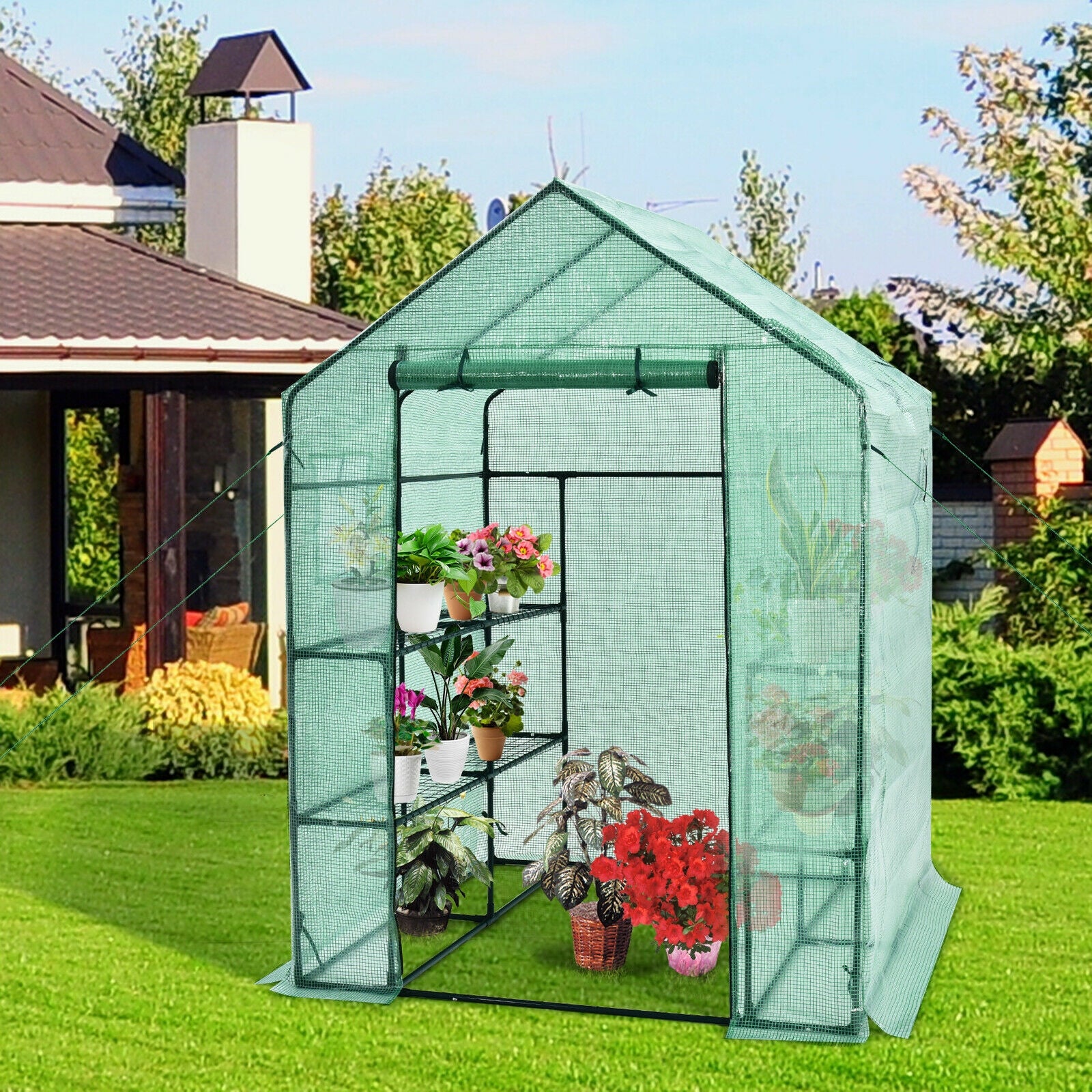 Walk-in Greenhouse 56 x 56 x 77 Inch Gardening with Observation Windows, Green Greenhouses at Gallery Canada