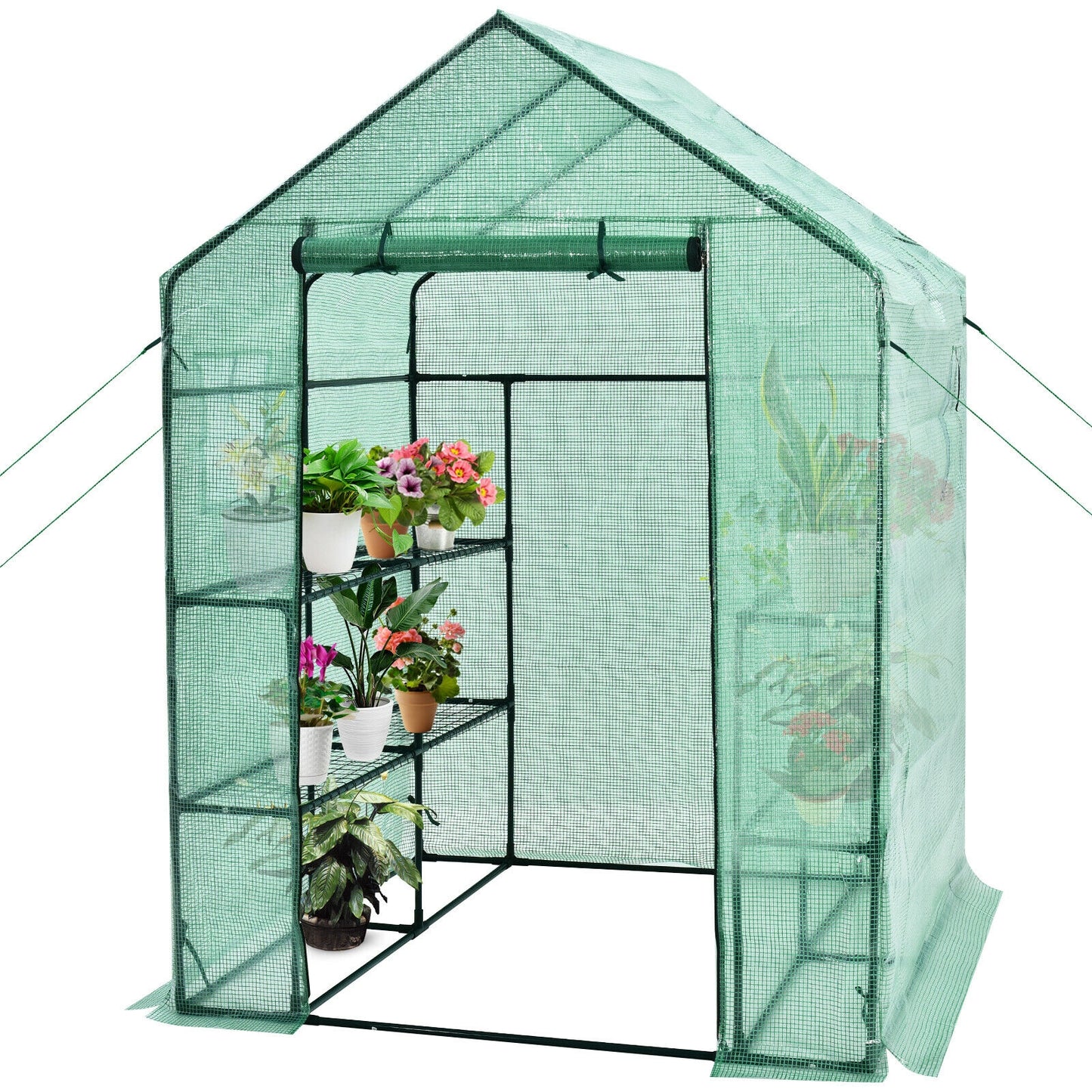 Walk-in Greenhouse 56 x 56 x 77 Inch Gardening with Observation Windows, Green Greenhouses at Gallery Canada