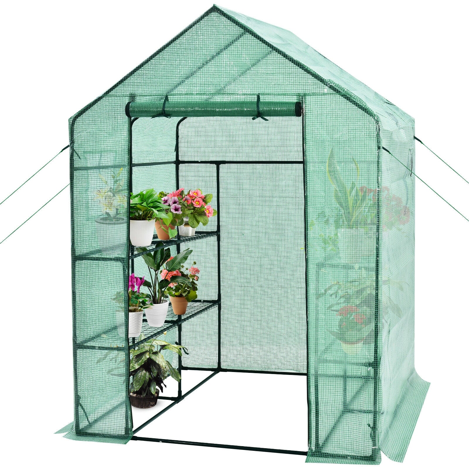 Walk-in Greenhouse 56 x 56 x 77 Inch Gardening with Observation Windows, Green Greenhouses at Gallery Canada