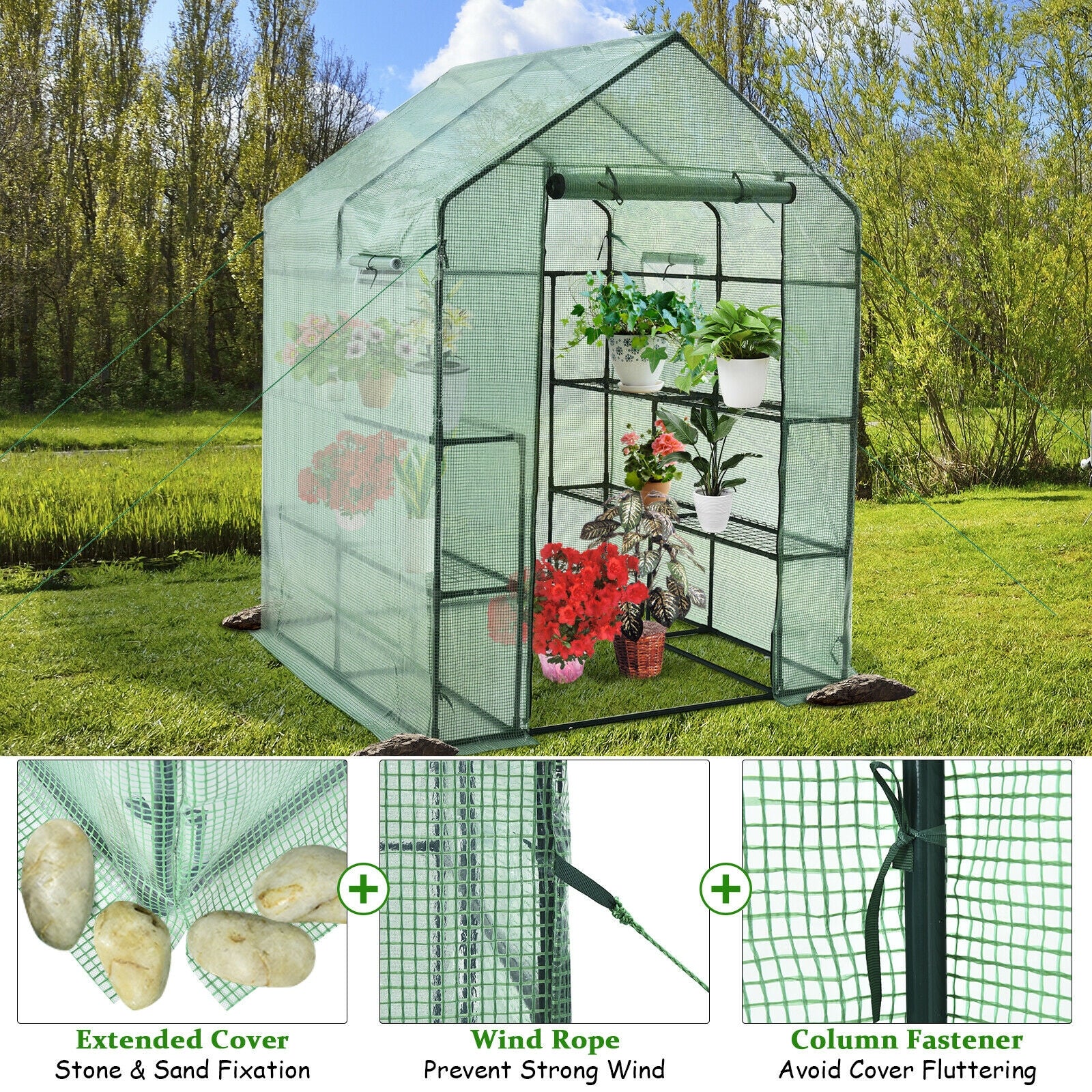 Walk-in Greenhouse 56 x 56 x 77 Inch Gardening with Observation Windows, Green Greenhouses at Gallery Canada