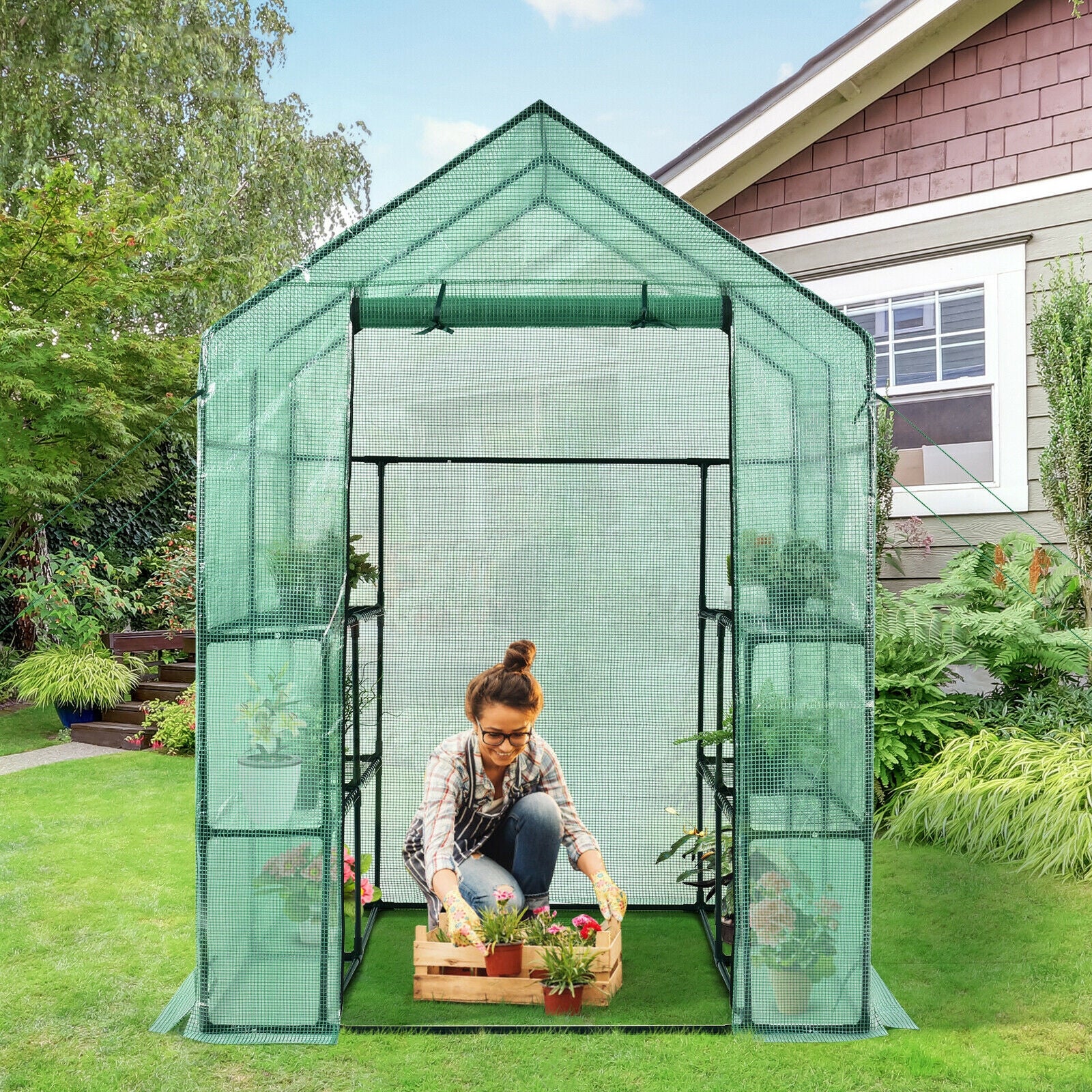 Walk-in Greenhouse 56 x 56 x 77 Inch Gardening with Observation Windows, Green Greenhouses at Gallery Canada