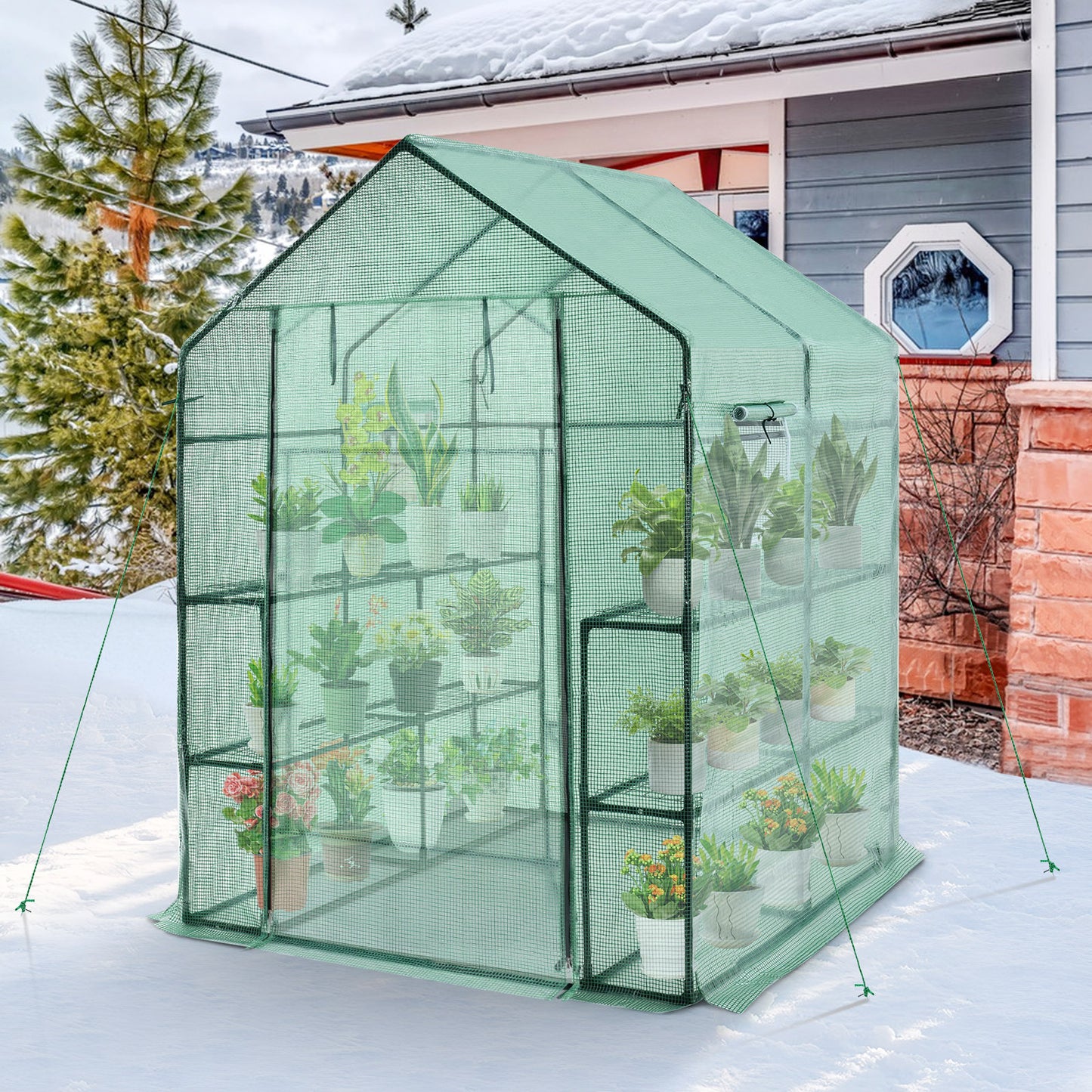Walk-in Greenhouse 56 x 56 x 77 Inch Gardening with Observation Windows, Green Greenhouses at Gallery Canada