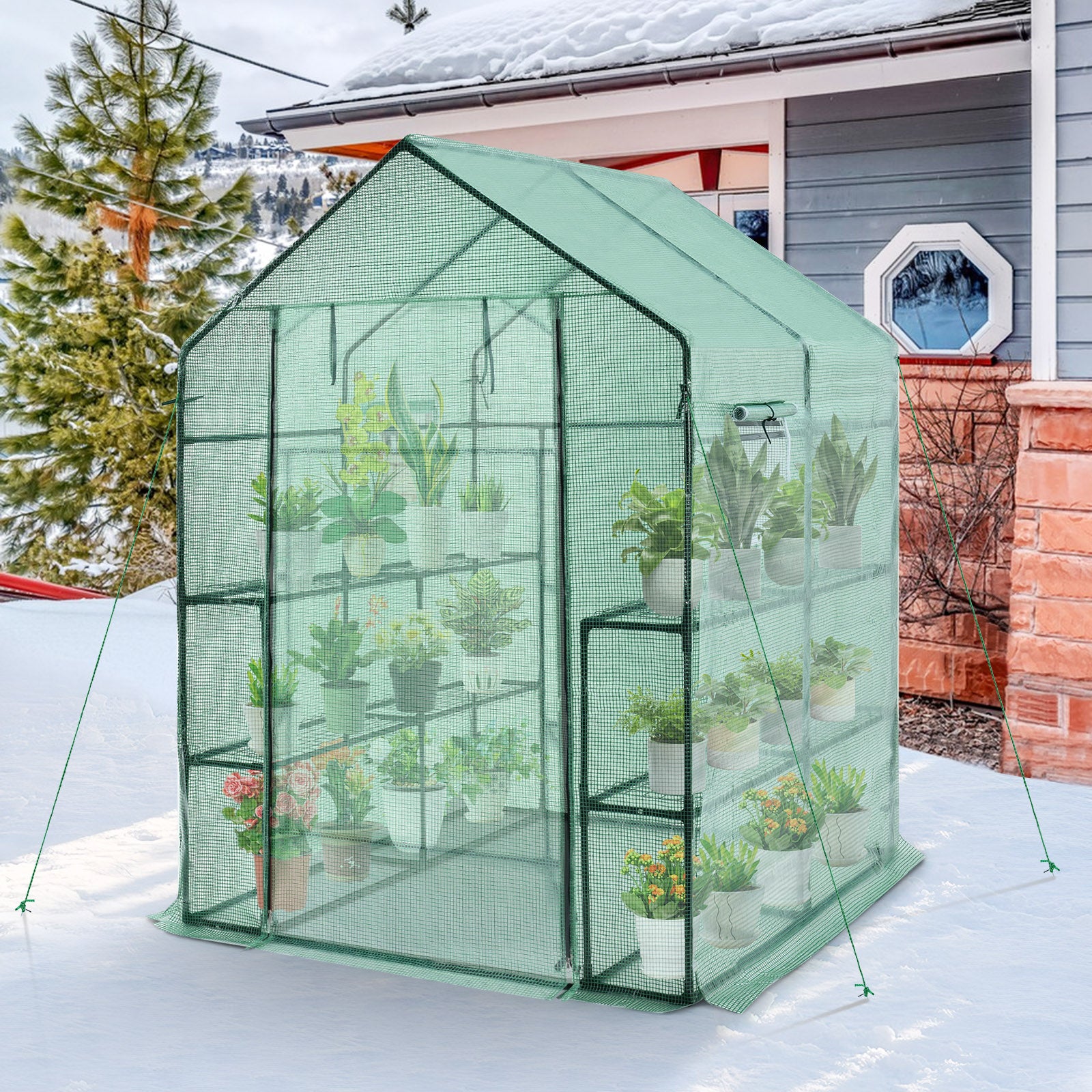 Walk-in Greenhouse 56 x 56 x 77 Inch Gardening with Observation Windows, Green Greenhouses at Gallery Canada