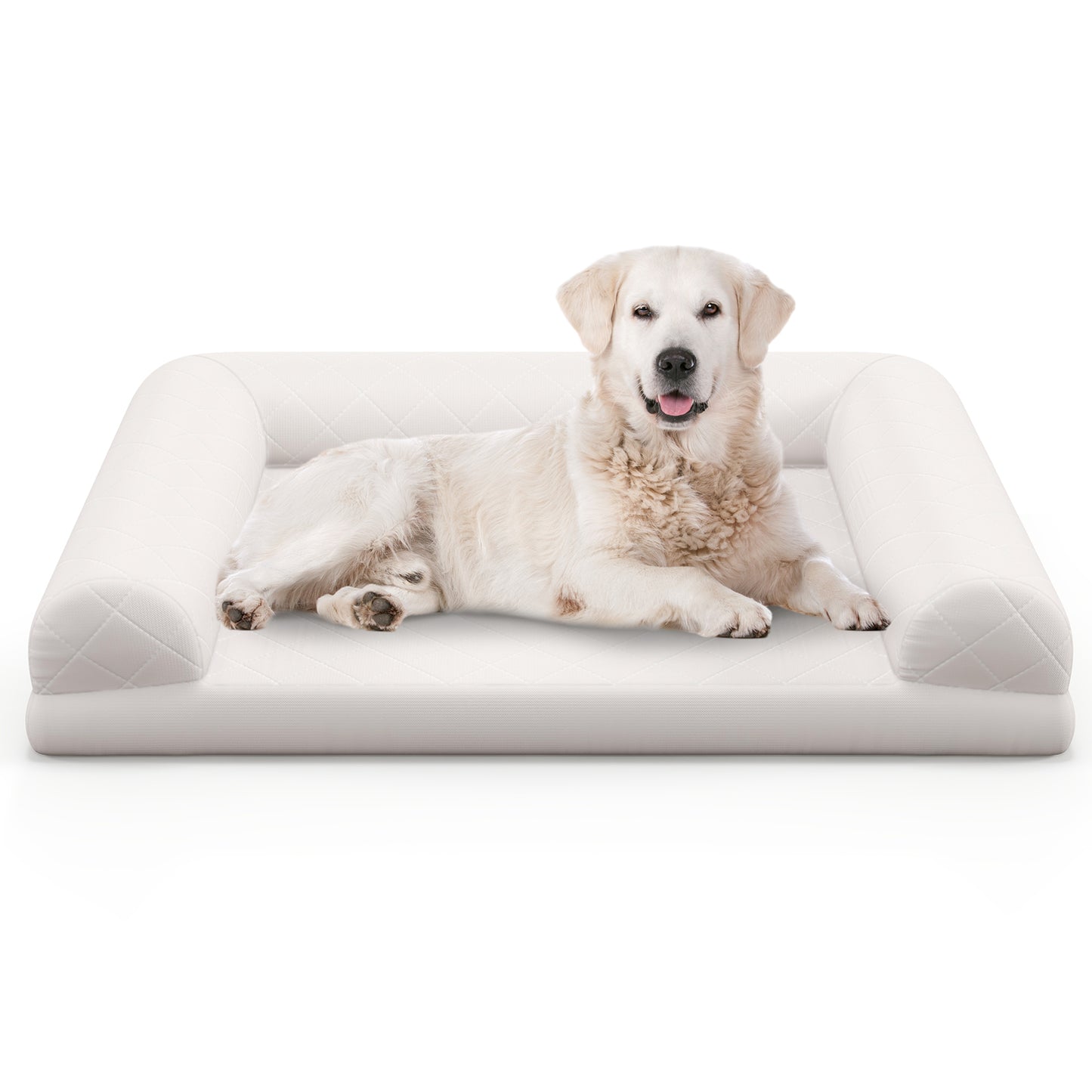 Egg-Foam Dog Crate Bed with 3-Side Bolster and Removable Washable Bed Cover, Beige Dog Supplies at Gallery Canada