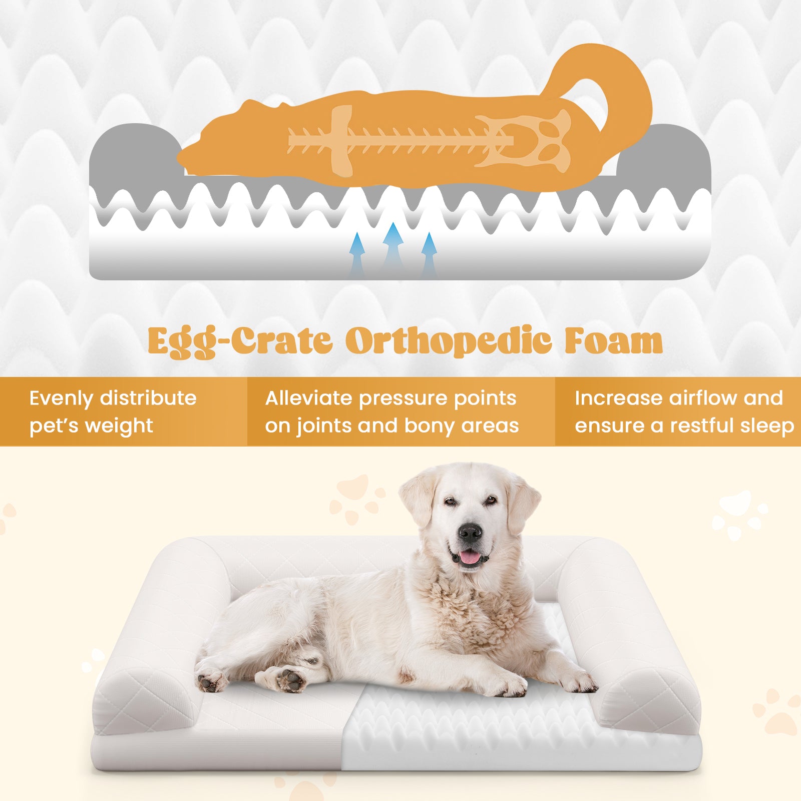 Egg-Foam Dog Crate Bed with 3-Side Bolster and Removable Washable Bed Cover, Beige Dog Supplies at Gallery Canada