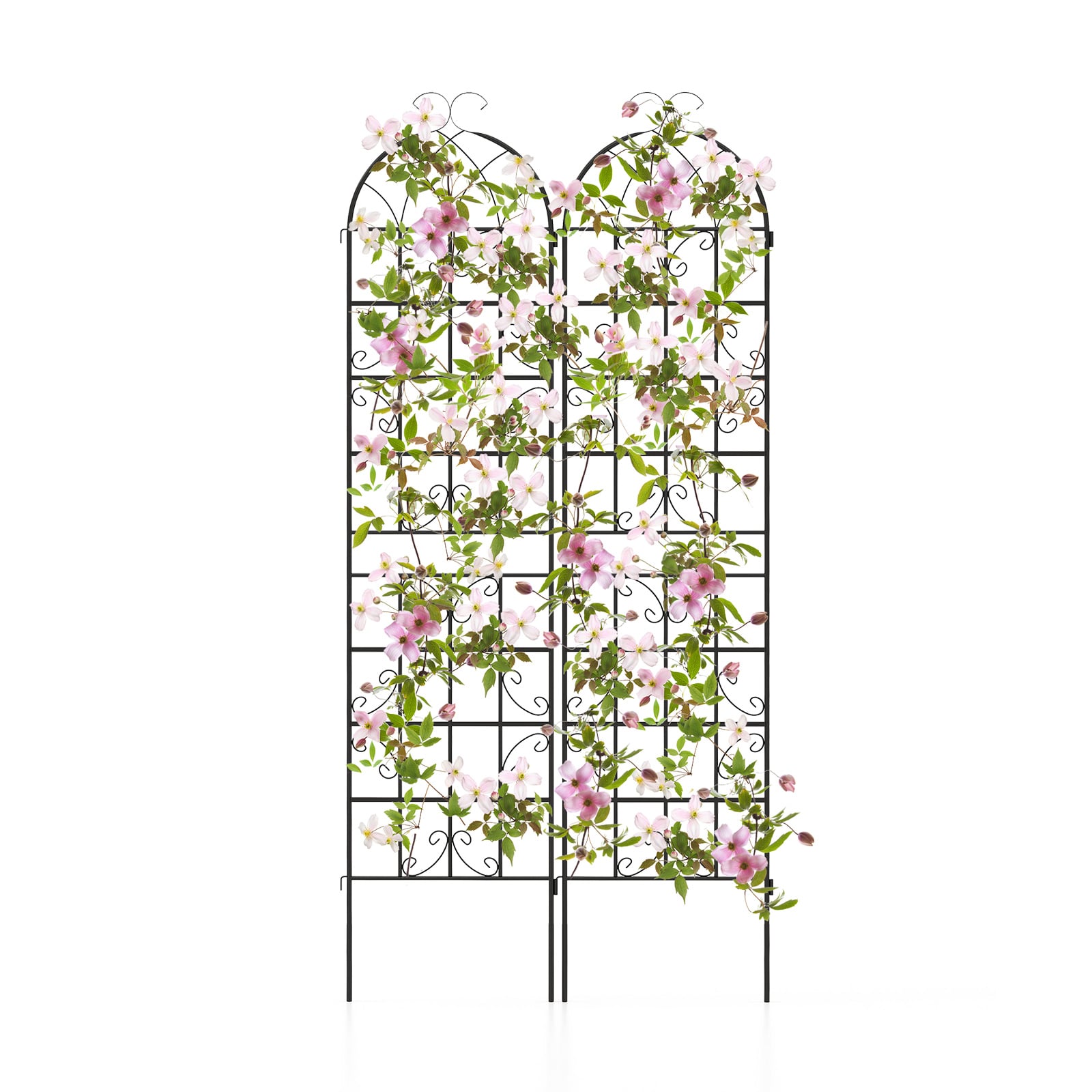 2 Pack Metal Garden Trellis for Climbing Plants, Black Decorative Fencing & Flooring Black at Gallery Canada
