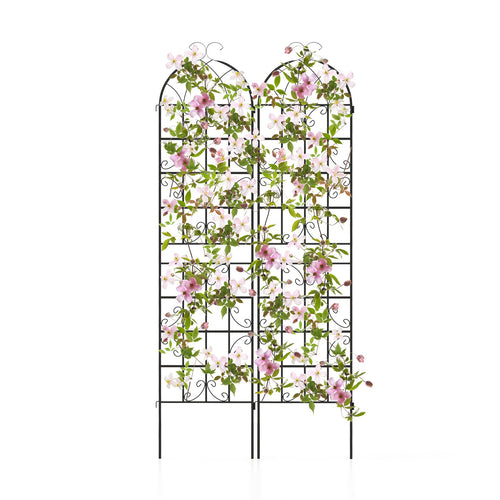 2 Pack Metal Garden Trellis for Climbing Plants, Black