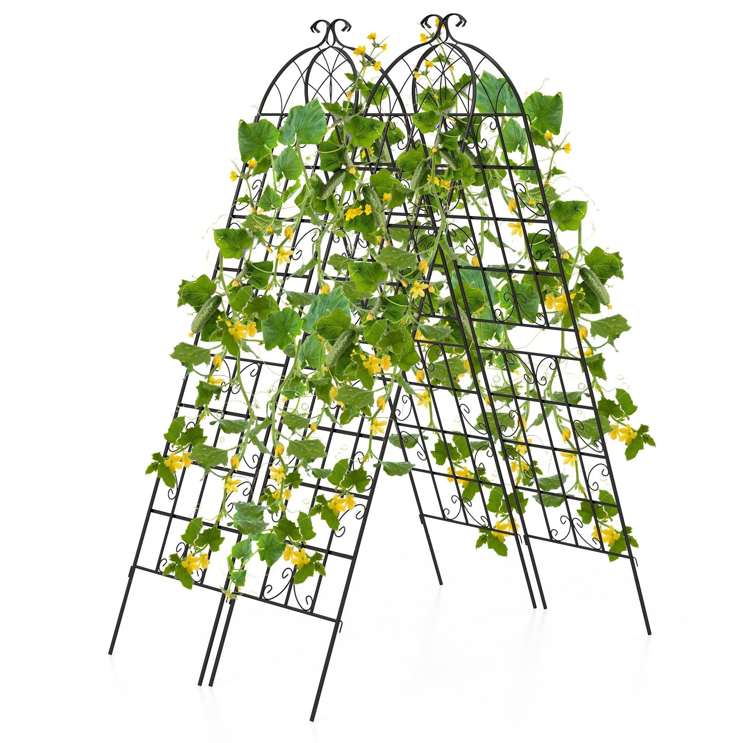 2 Pack Metal Garden Trellis for Climbing Plants, Black Decorative Fencing & Flooring at Gallery Canada