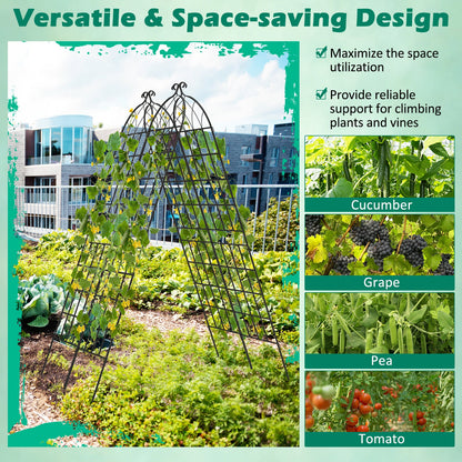 2 Pack Metal Garden Trellis for Climbing Plants, Black Decorative Fencing & Flooring at Gallery Canada