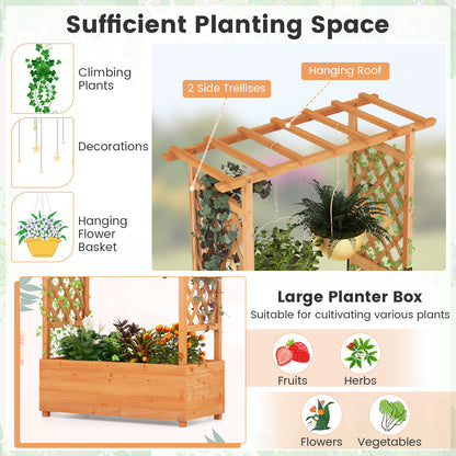 Raised Garden Bed With Arch Trellis, Orange Raised Garden Beds at Gallery Canada