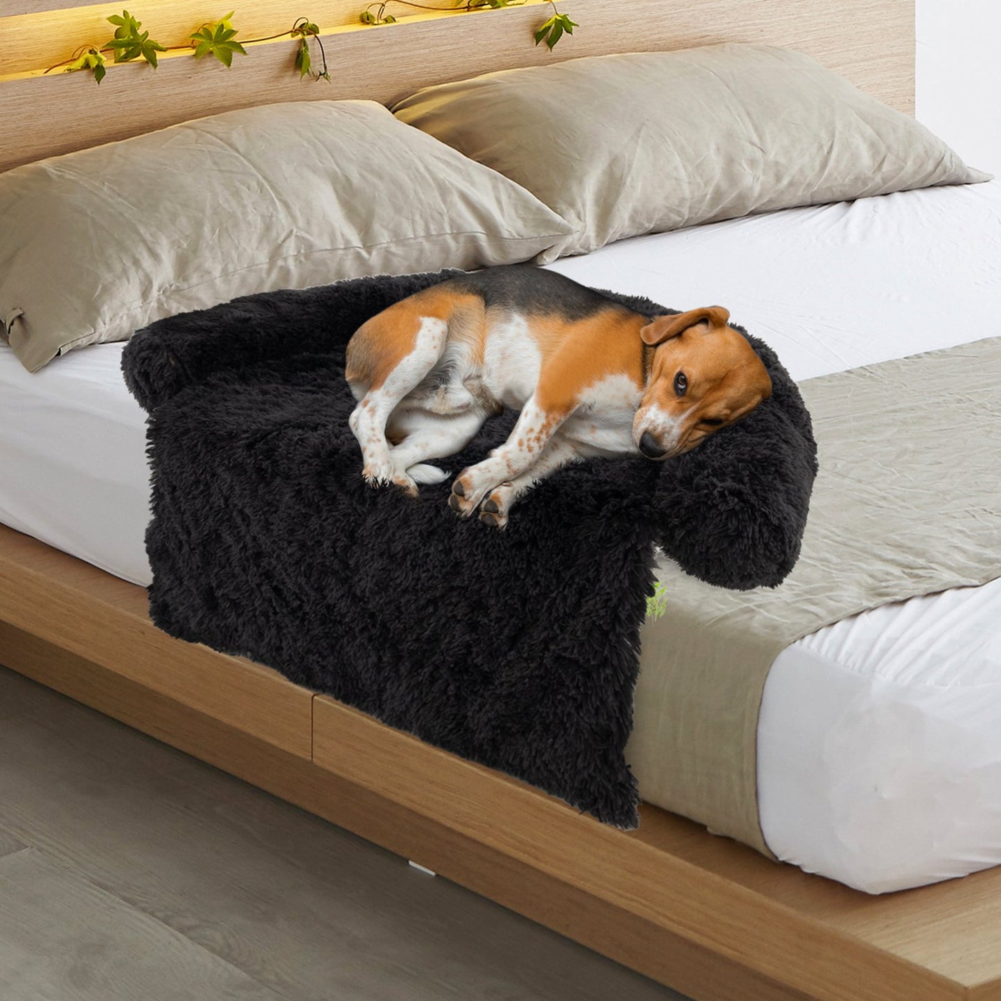 Plush Calming Dog Couch Bed with Anti-Slip Bottom-M, Black