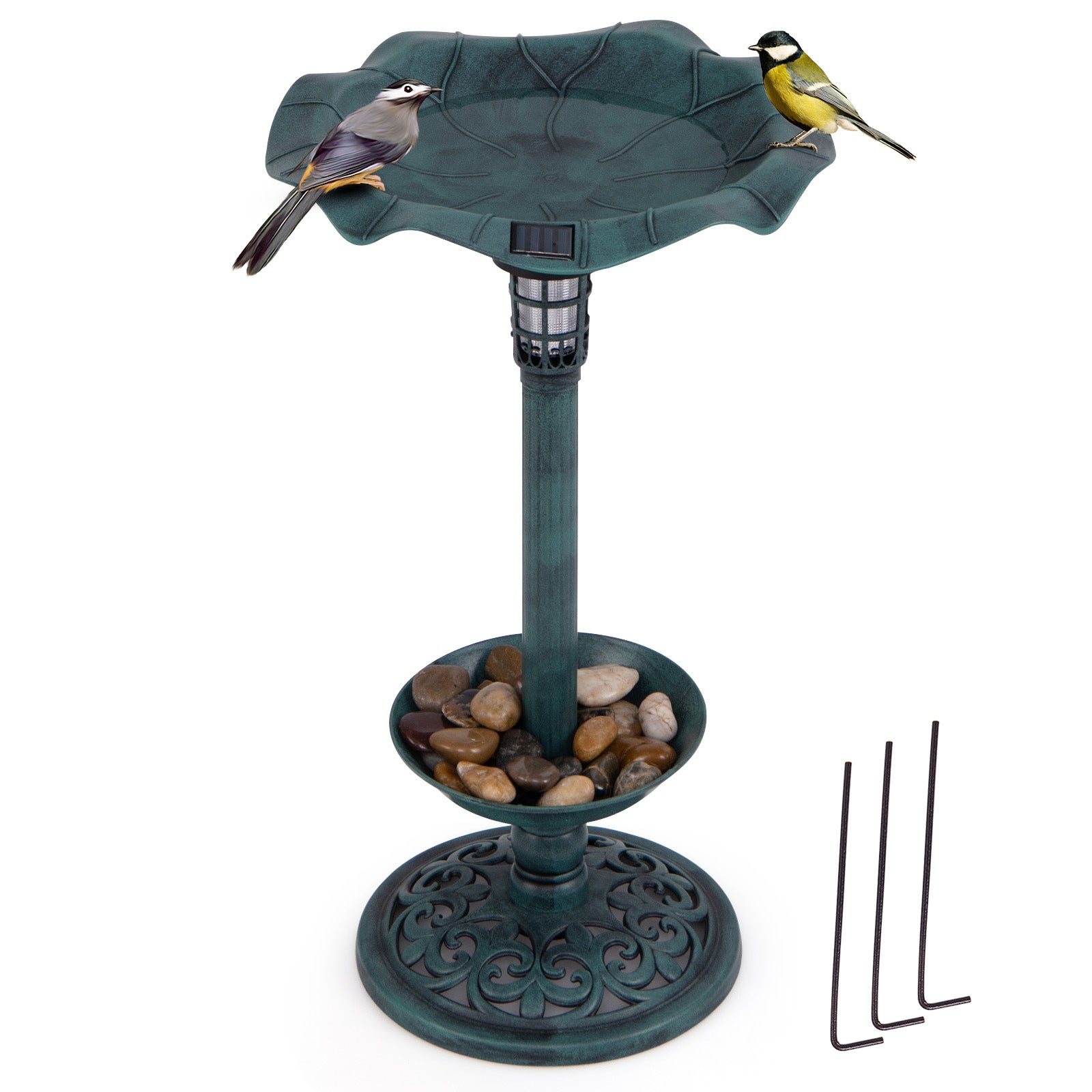 Standing Pedestal Birdbath and Feeder Combo with Lotus Leaf Bowl, Green Chicken Coops at Gallery Canada